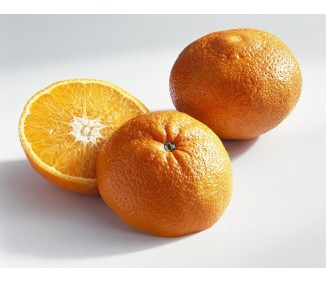 Mandarina Ortanique Ecológica 10 KG