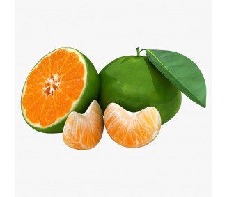 Mandarinas Okitsu Ecológicas De Zumo 10 KG